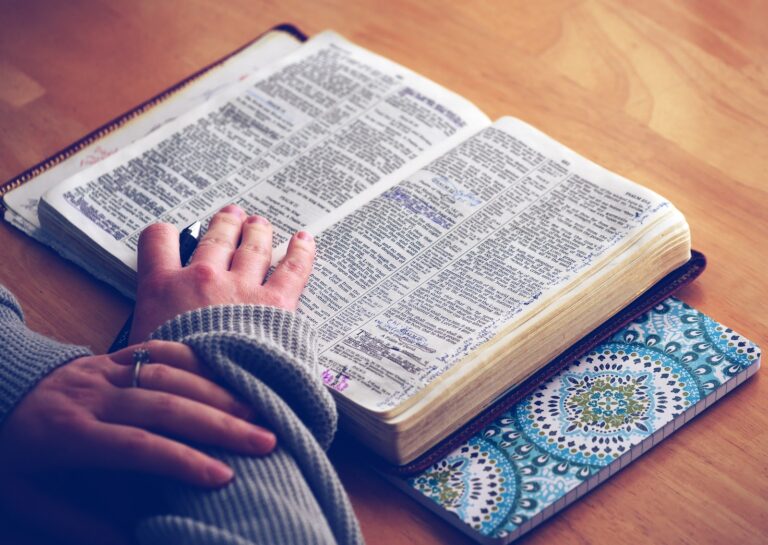 dictionnaire papier VS dictionnaire en ligne