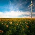 Magazine de l’environnement : informer, sensibiliser et agir