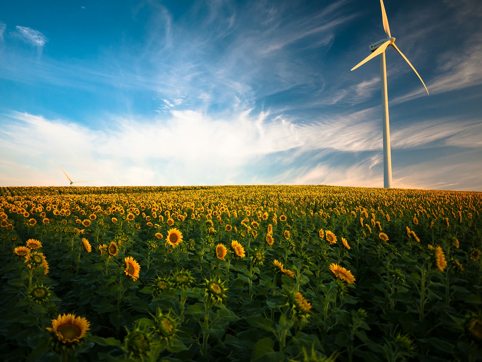 Magazine de l’environnement : informer, sensibiliser et agir